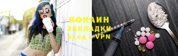 индика Бородино