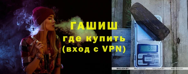 индика Бородино