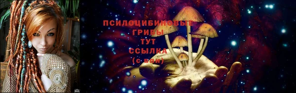 гашишное масло Богданович