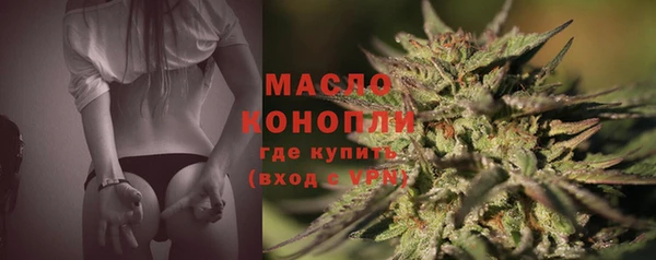 шишки Богородицк