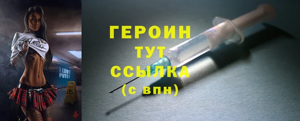 индика Бородино