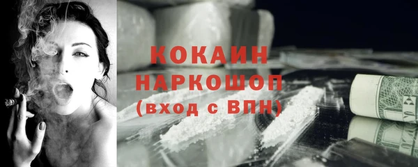 индика Бородино