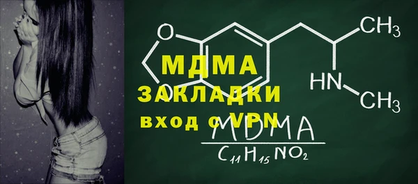 индика Бородино