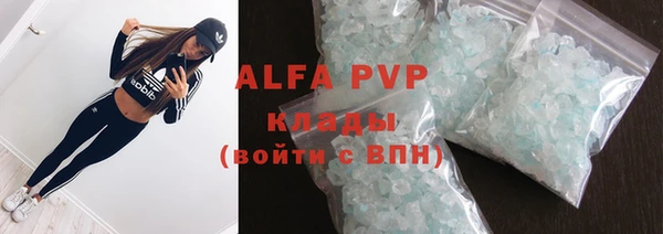 индика Бородино