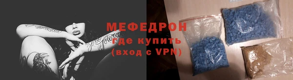 индика Бородино