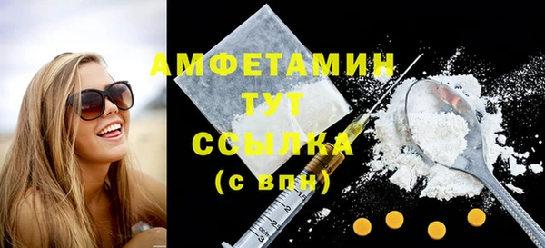 шишки Богородицк