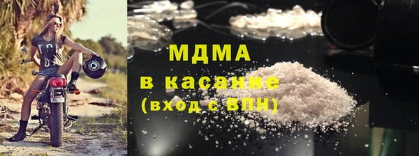 индика Бородино